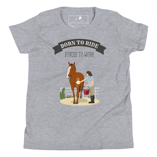 Born to Ride Forced to Work Youth Tee, Equestrian Kids Shirt, Horse Washing Illustration, Canter and Charm Exclusive, Horse Lover Gift, Riding Apparel